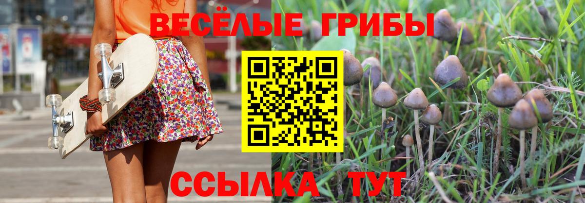 Галлюциногенные грибы мицелий  Вход с VPN  наркота  Дивногорск 